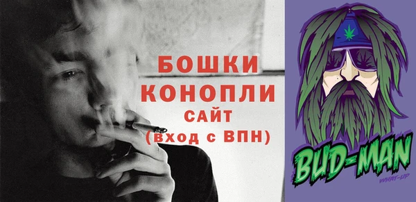 прущие грибы Болхов