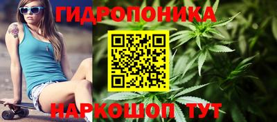 прущие крисы Абинск