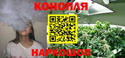индика Абакан