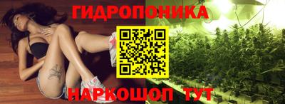 прущие крисы Абинск