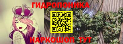 прущие грибы Азнакаево