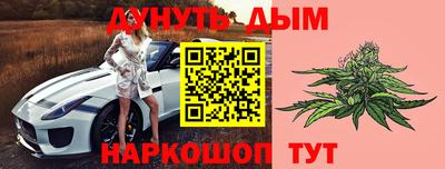 прущие грибы Азнакаево
