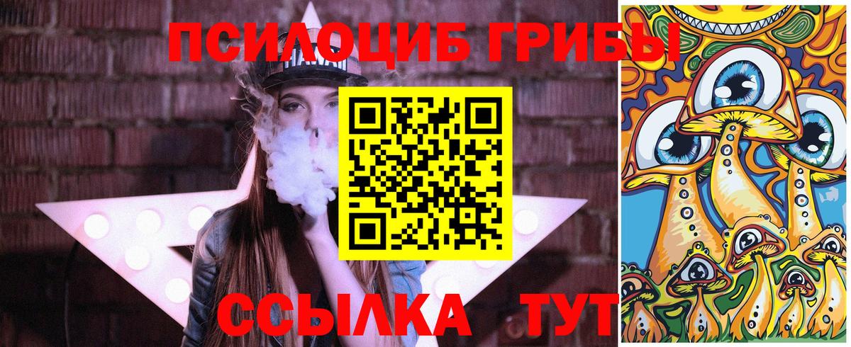 Алексеевка  Галлюциногенные грибы GOLDEN TEACHER  дарнет шоп  Вход с VPN 