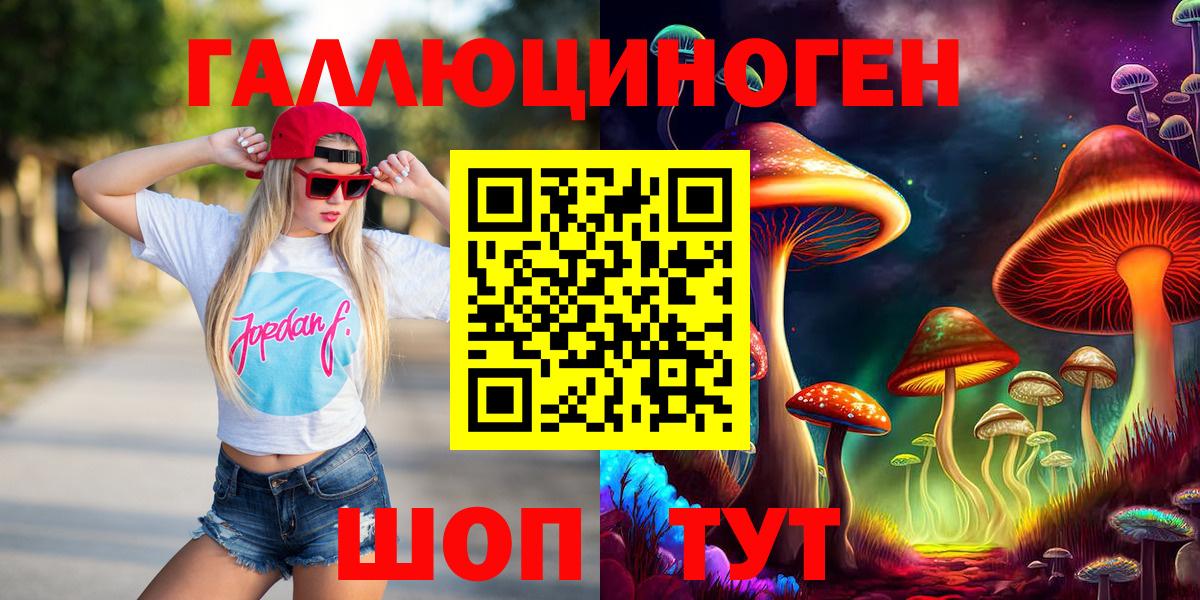 Алексеевка  Псилоцибиновые грибы Cubensis  Вход с VPN 
