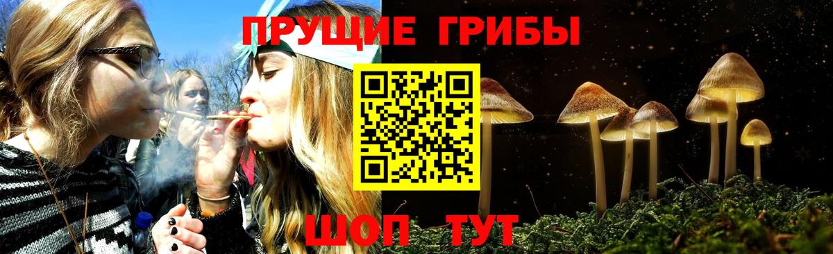 Галлюциногенные грибы GOLDEN TEACHER Алексеевка
