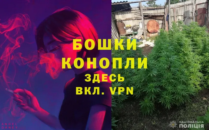 сколько стоит  Алексеевка  KRAKEN сайт  Бошки Шишки Ganja 